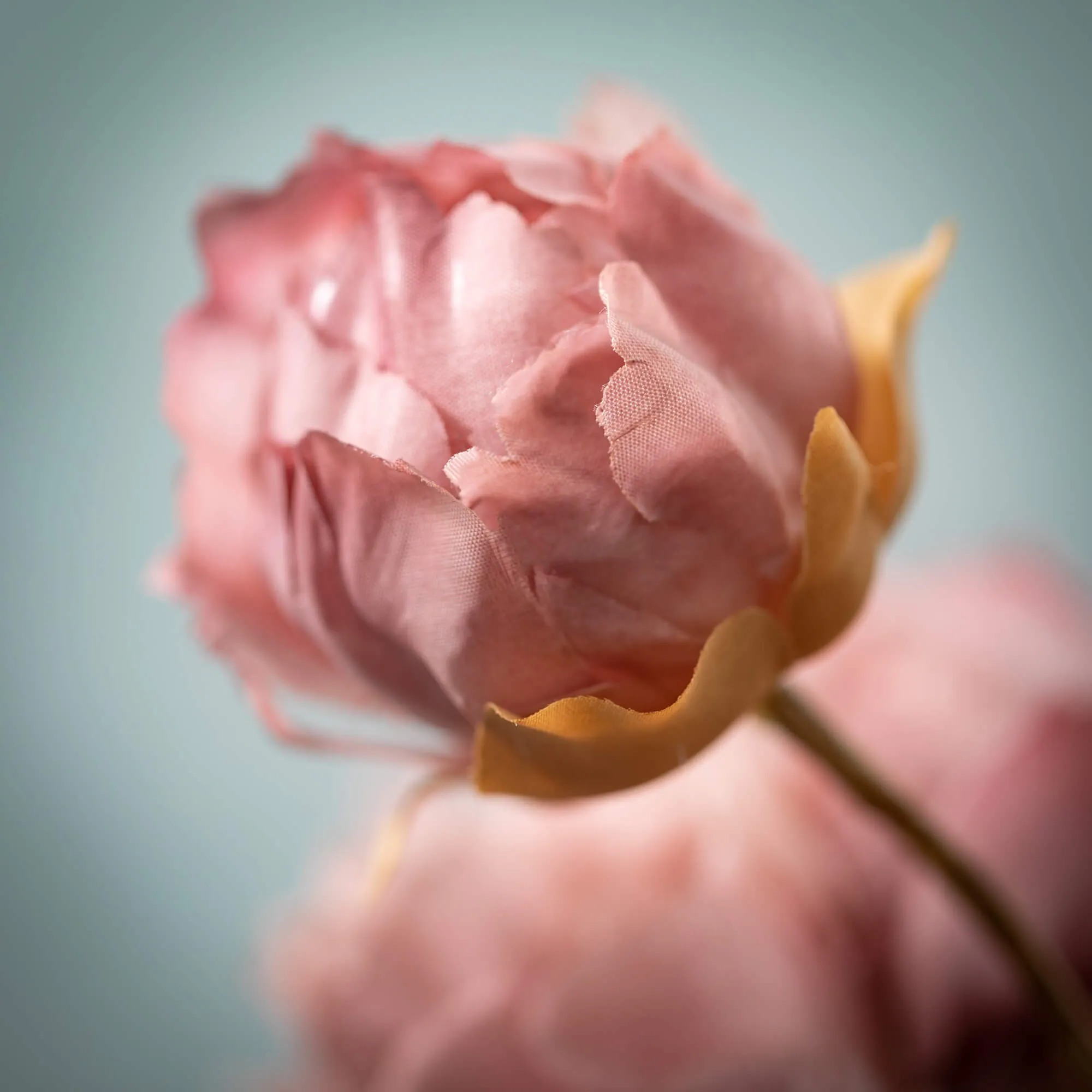 22"H Sullivans Blush Pink Blooming Peonies, Pink