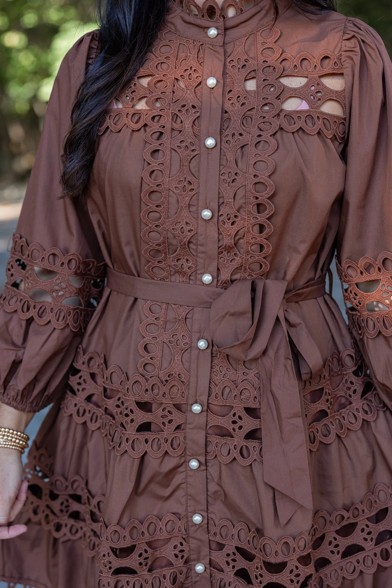 Embroidered Lace Brown Tiered Dress