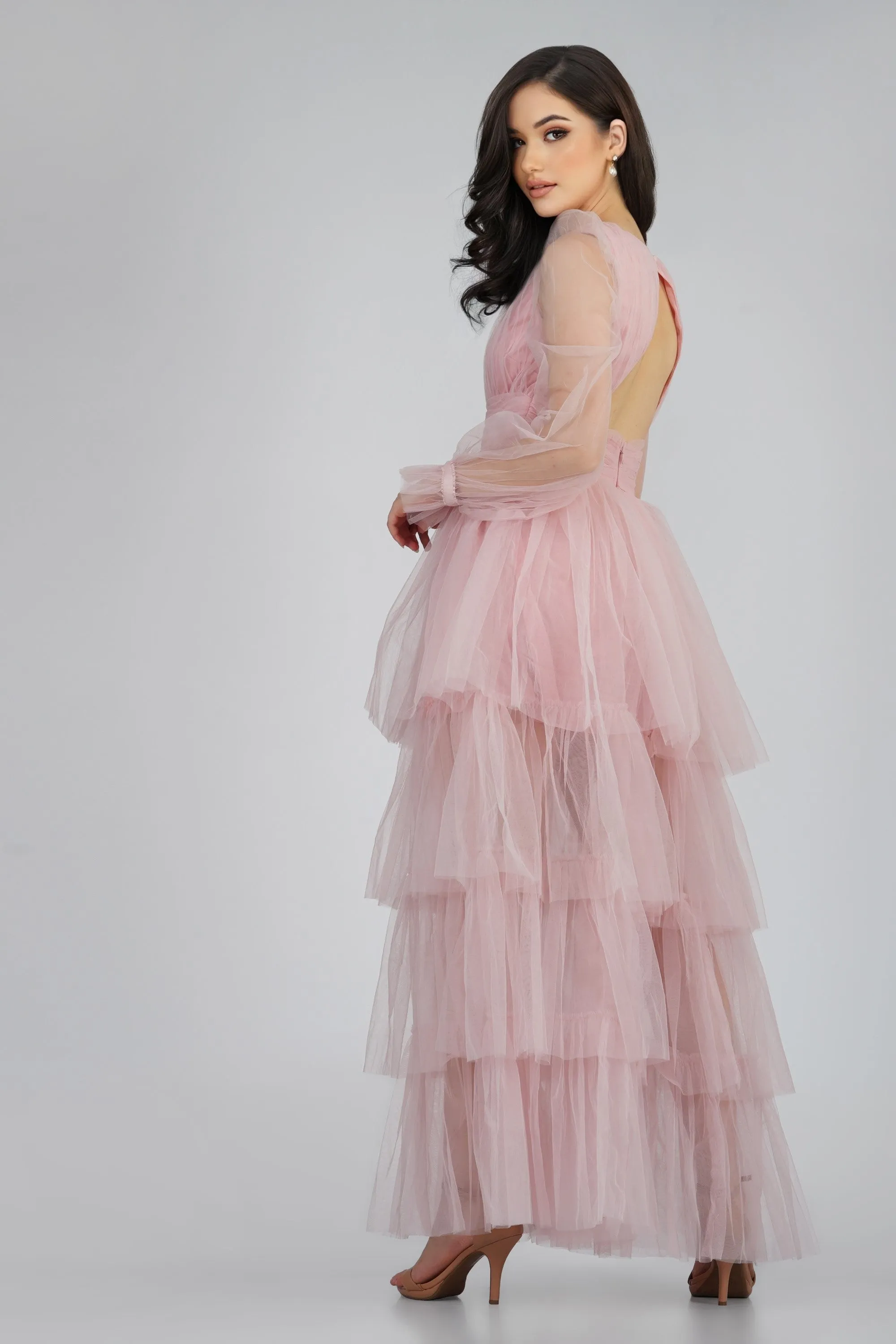 Salma Long Sleeve Tulle Maxi Dress in Pink